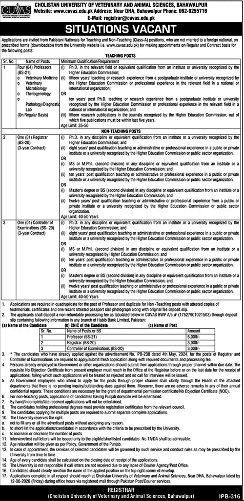 Official job advertisement for Professor, Registrar, and Controller positions at Cholistan University of Veterinary and Animal Sciences CUVAS Bahawalpur