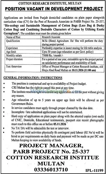 Cotton Research Institute Multan Research Associate Jobs Jang 23-10-2026