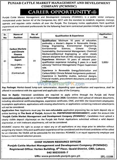 Punjab cattle Market Management & Development Company Lahore Jobs Jang 23-10-2026