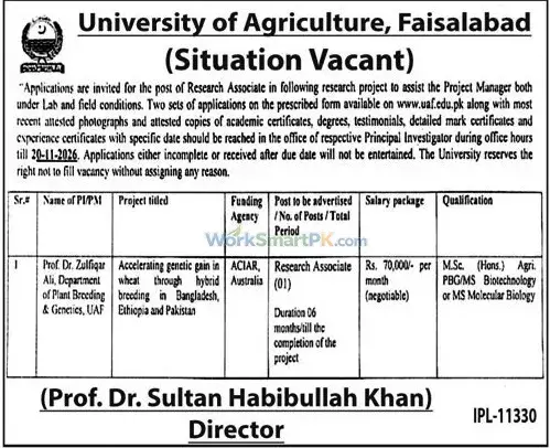 University of Agriculture Faisalabad Research Associate Jobs Jang 25-10-2026